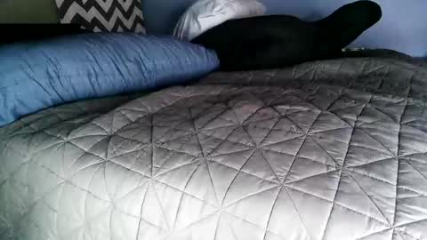 Vexnew online show from 2, 11, 2025