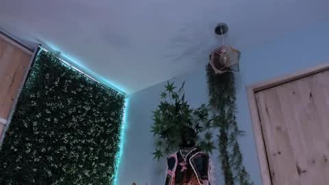 Victoria   online show from 7, 4, 2026