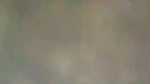 viennaguy79 online show from 3, 3, 2026