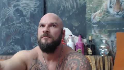 viking online show from 26, 9, 2025