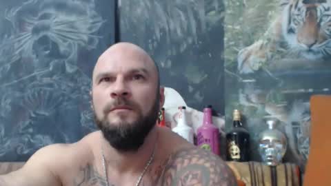 viking online show from 16, 10, 2025