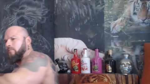 viking online show from 6, 11, 2025