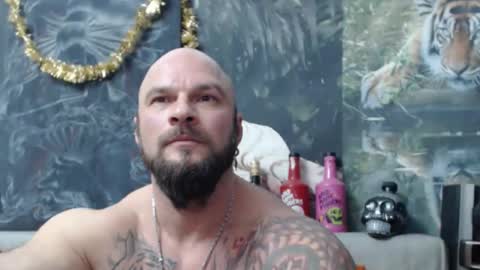 viking online show from 31, 1, 2026