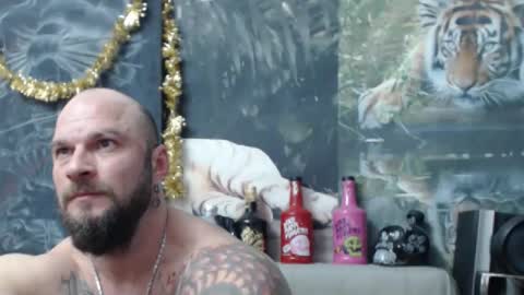 viking online show from 19, 2, 2026