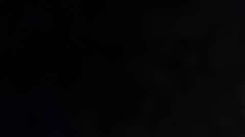   online show from 11, 3, 2026