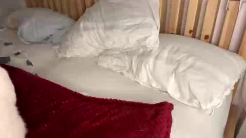 Snapshot of vince_hotgr chatting on 1, 2, 2025 Vince online show from 1, 2, 2025