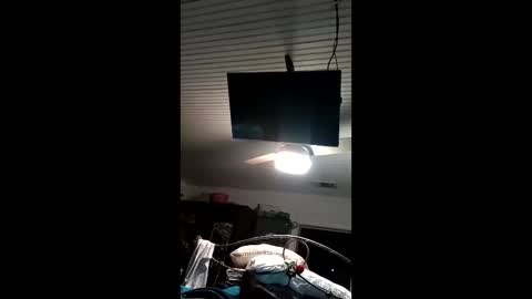 vinipussplzer online show from 19, 1, 2026