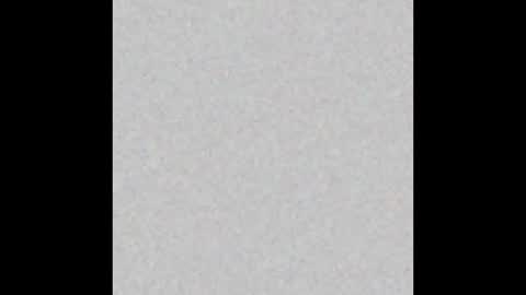 Snapshot of violeta_and_maxx chatting on 3, 11, 2025 VIOLETA AND MAXX online show from 3, 11, 2025