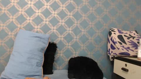 Snapshot of violeta_cute18 chatting on 18, 12, 2024 Violeta online show from 18, 12, 2024