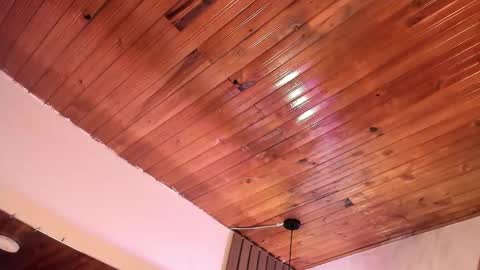 Violet online show from 28, 3, 2026