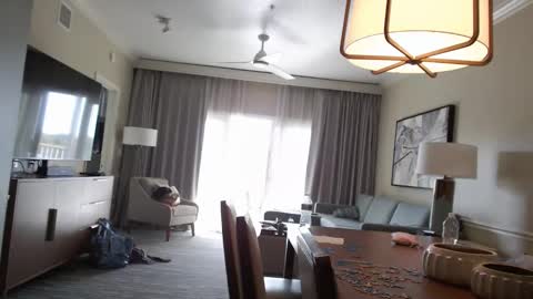 Violet Hooper online show from 12, 1, 2026