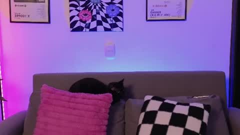 Violet online show from 26, 6, 2026