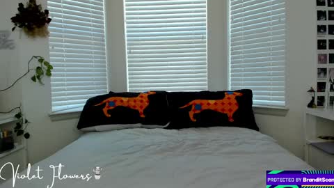 Snapshot of violetttflowers chatting on 5, 1, 2025 Violet Flowers online show from 5, 1, 2025