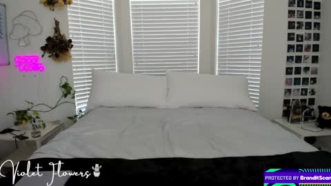 Snapshot of violetttflowers chatting on 8, 9, 2025 Violet Flowers online show from 8, 9, 2025