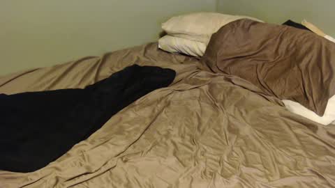 Snapshot of virgilmoss chatting on 16, 1, 2025 virgilmoss online show from 16, 1, 2025