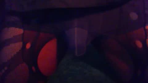 Snapshot of vitaminhard58 chatting on 11, 2, 2026 vitaminhard58 online show from 11, 2, 2026