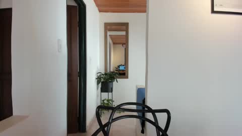 Vito Ferrer online show from 7, 2, 2025