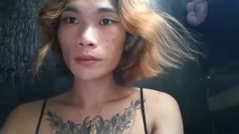 kim online show from 28, 7, 2026