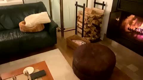 Vivlove online show from 21, 12, 2024