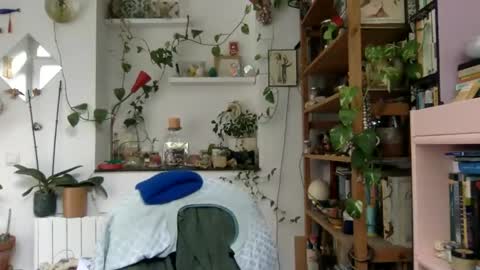 Viv online show from 3, 12, 2024