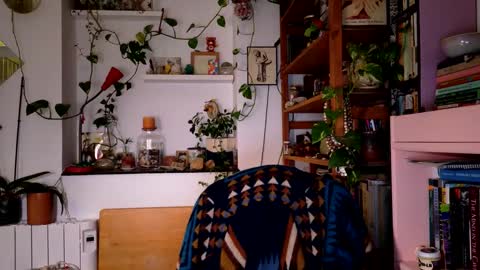 Viv online show from 27, 12, 2024