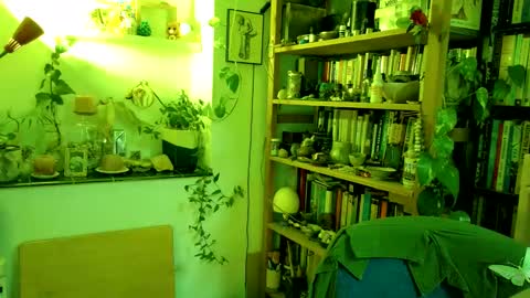 Viv online show from 2, 3, 2025