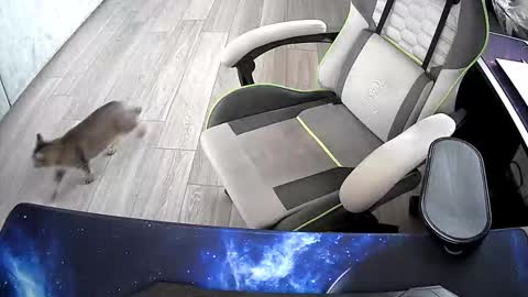 Vonn online show from 21, 10, 2025