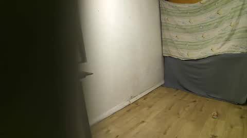 Snapshot of vpetkah chatting on 4, 11, 2025 vpetkah online show from 4, 11, 2025