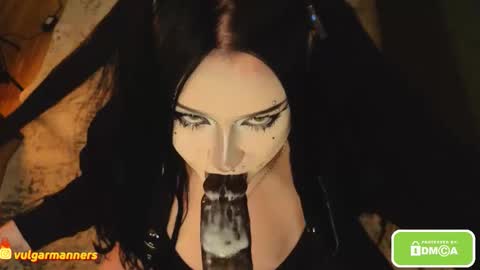 Snapshot of vulgarmanners_ chatting on 30, 11, 2025 Ada online show from 30, 11, 2025