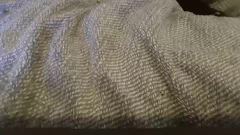 hung boy online show from 1, 2, 2025