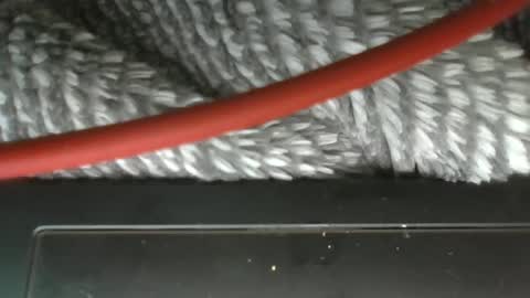 hung boy online show from 12, 3, 2025