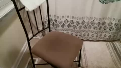 wadiwoc871 online show from 18, 1, 2026