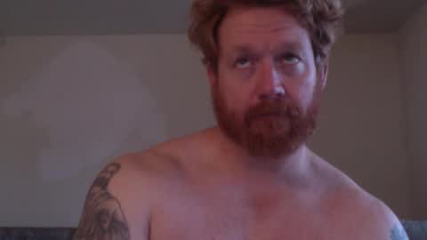 wadonis online show from 24, 2, 2026