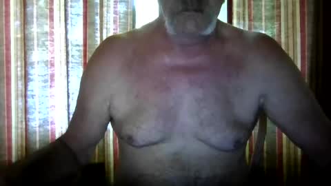 Snapshot of wahassa chatting on 12, 7, 2026 wahassa online show from 12, 7, 2026