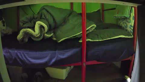 Kentaro online show from 24, 3, 2026