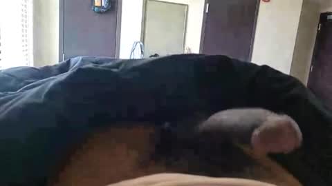Snapshot of walttherealone chatting on 16, 7, 2026 walttherealone online show from 16, 7, 2026
