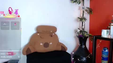 Wanda online show from 14, 12, 2025