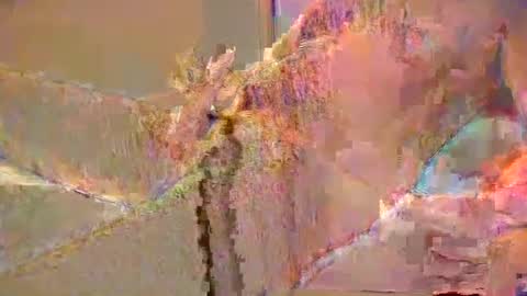 want2cum4gal online show from 29, 12, 2024