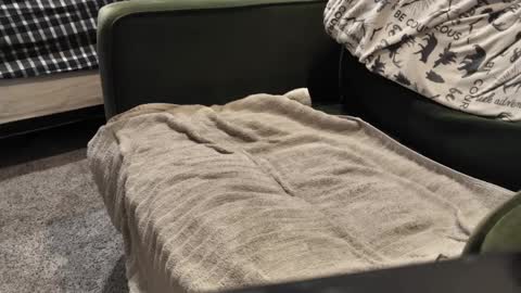 Daddy online show from 3, 1, 2025