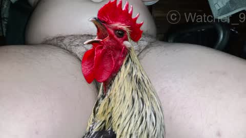 classified online show from 25, 12, 2024