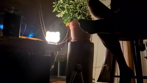 watershed111111 online show from 12, 1, 2026