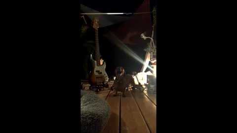 watershed111111 online show from 19, 2, 2026