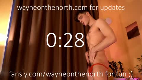 Snapshot of waynenorth chatting on 21, 12, 2024 waynenorth online show from 21, 12, 2024
