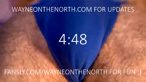 Snapshot of waynenorth chatting on 20, 2, 2025 waynenorth online show from 20, 2, 2025