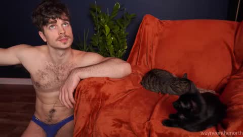 Snapshot of waynenorth chatting on 22, 11, 2025 waynenorth online show from 22, 11, 2025