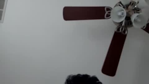 Snapshot of wefjkasdhfsn chatting on 13, 12, 2024 Your Toy Joy Boy online show from 13, 12, 2024