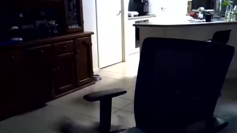 Snapshot of wellhelloo chatting on 15, 2, 2026 Wellhelloo online show from 15, 2, 2026