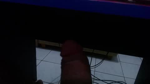 wellingtont online show from 1, 2, 2026