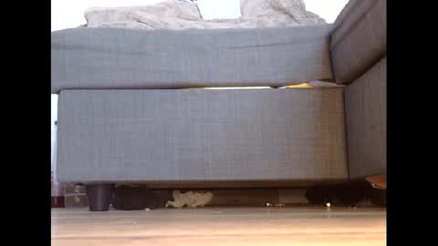 wet_pants2022 online show from 27, 2, 2025