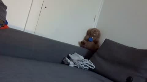 wet_pants2022 online show from 22, 9, 2025